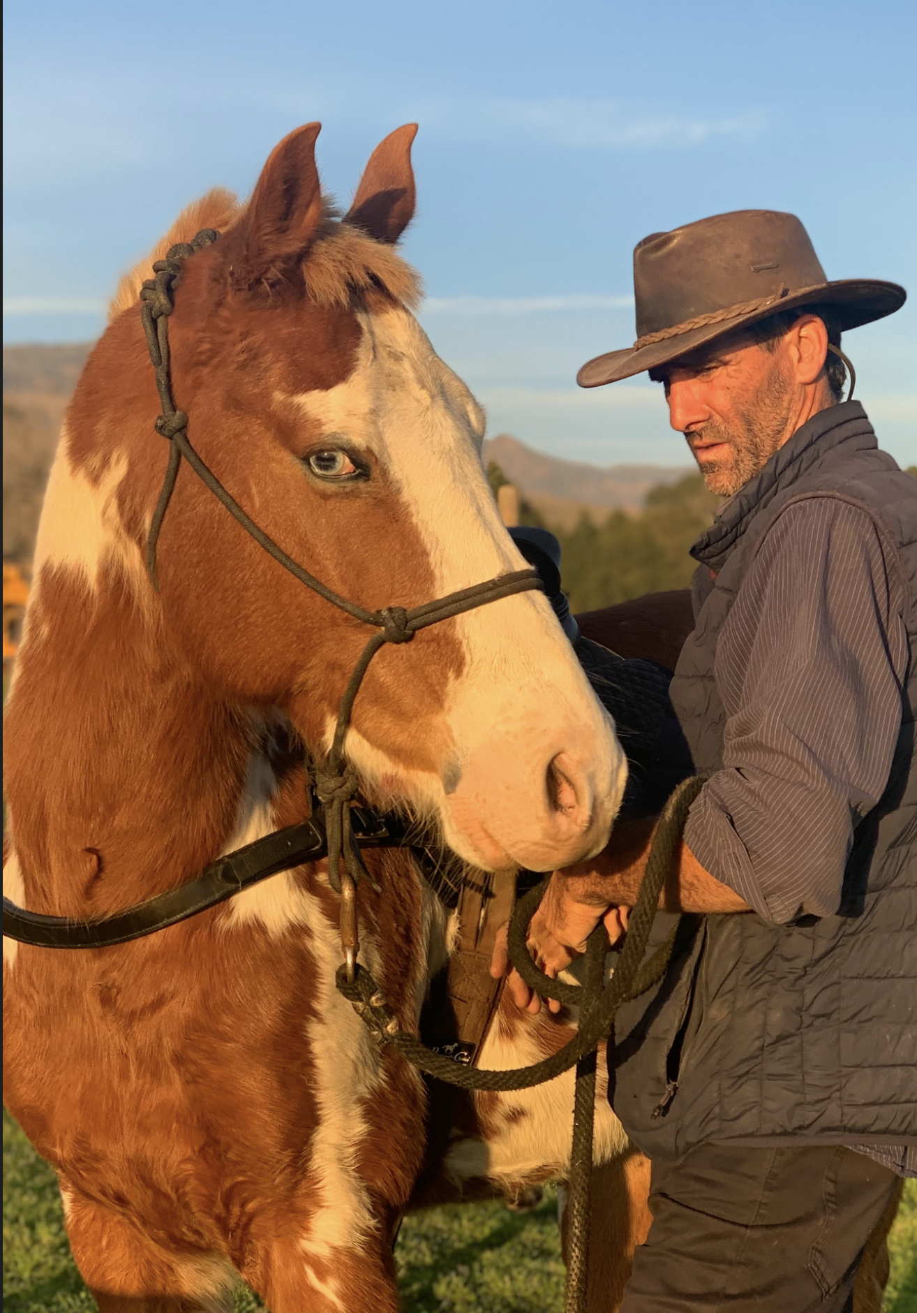 Sebastian caring for horse