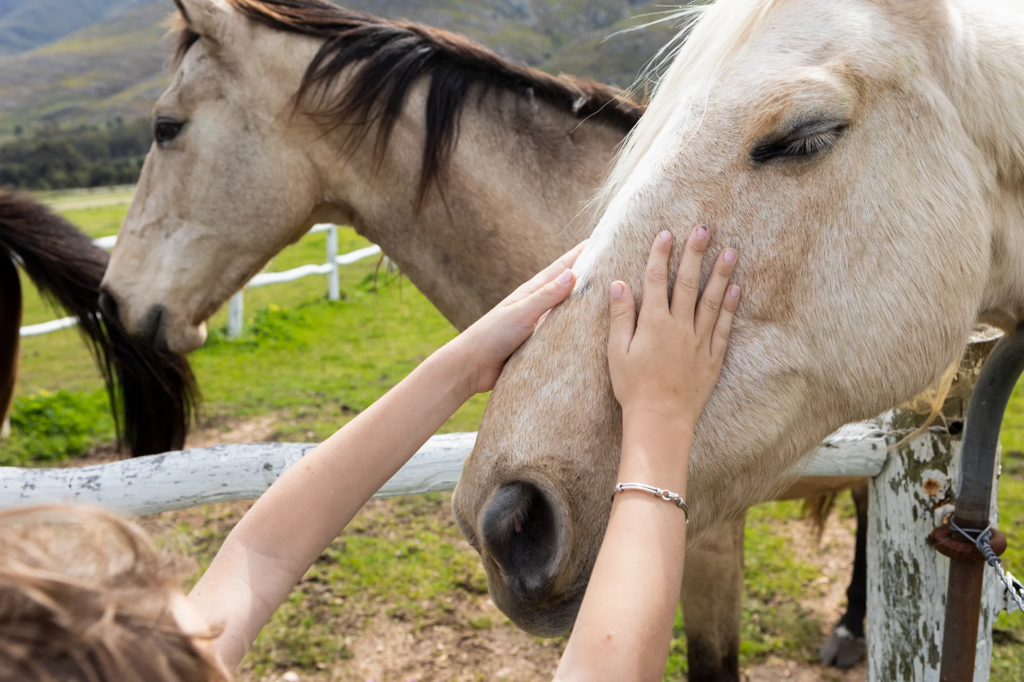 Child connecting with horse